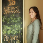 Baby #2: 15 Weeks