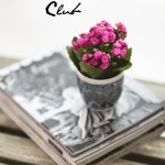 The Secret Blogger Club #11