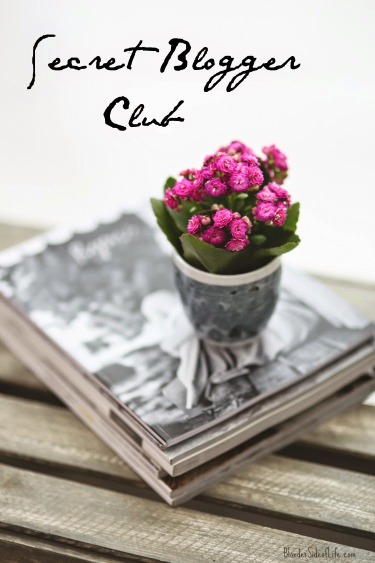 The Secret Blogger Club #11