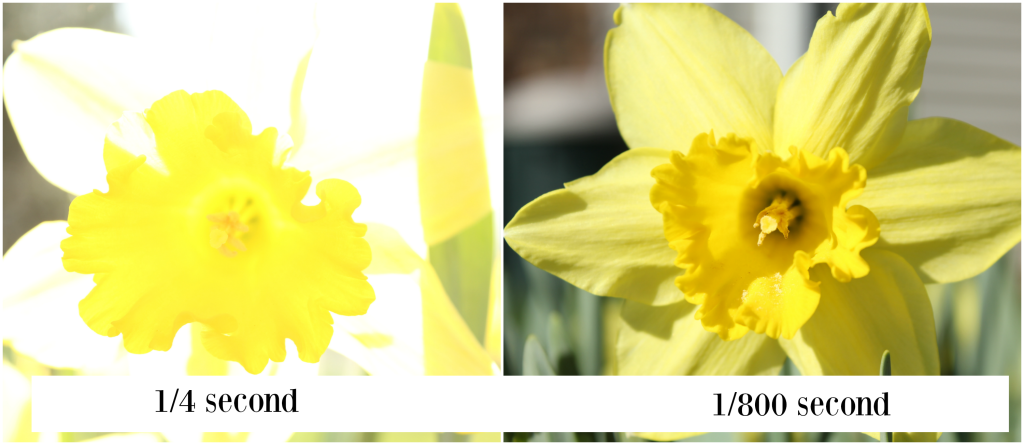 shutterspeedfour