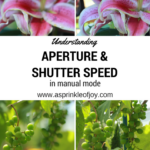 Photography Series: Part Five: Putting it All Together