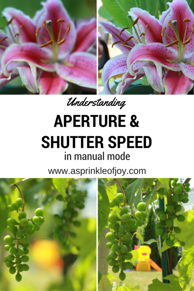 Do you want to improve your photography skills? Does switching to manual make you nervous? Check out the fifth part of this series, which helps show you how aperture and shutter speed work together. You can take amazing pictures in manual! 