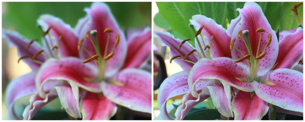 Do you want to improve your photography skills? Does switching to manual make you nervous? Check out the fifth part of this series, which helps show you how aperture and shutter speed work together. You can take amazing pictures in manual! 