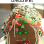 DIY Gingerbread House