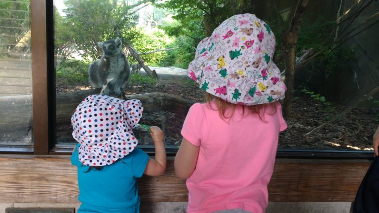 Summer Bucket List {Check One}