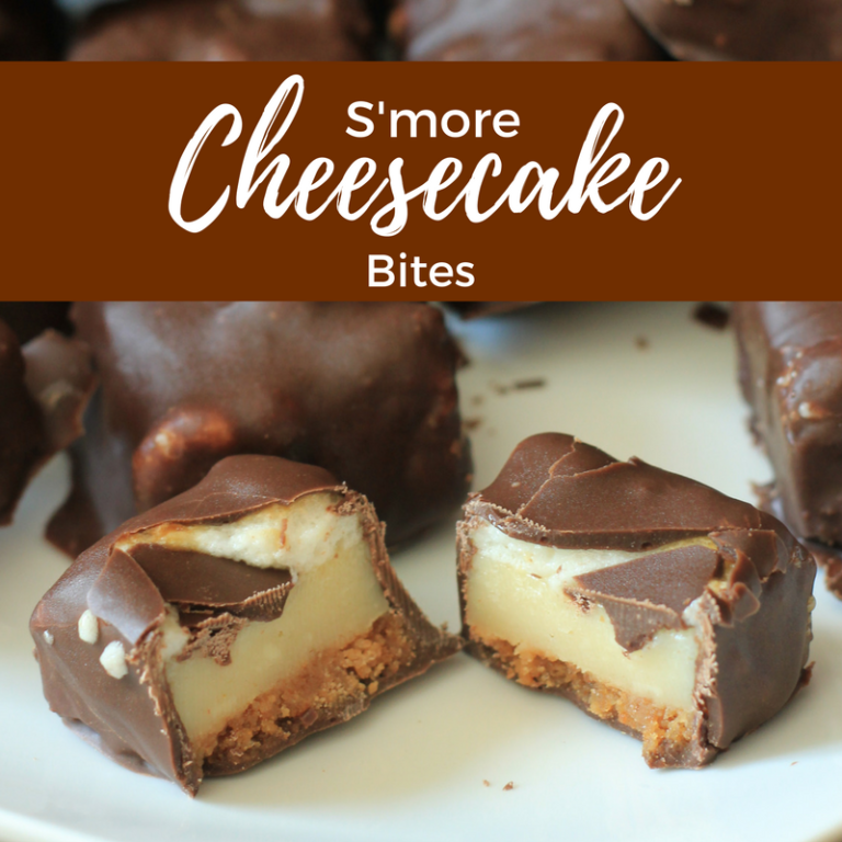 S’more Cheesecake Bites + Blog Hop