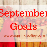 August Recap and September Goals
