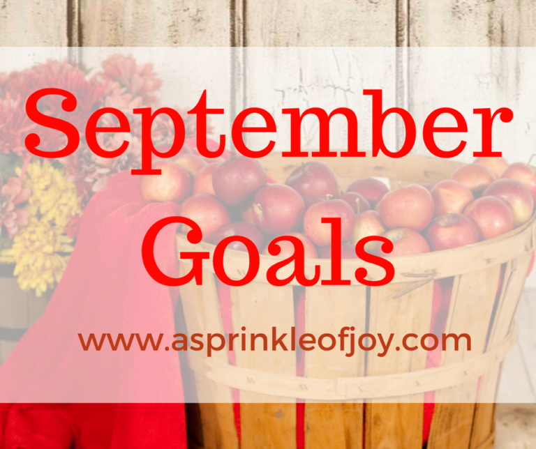 August Recap and September Goals