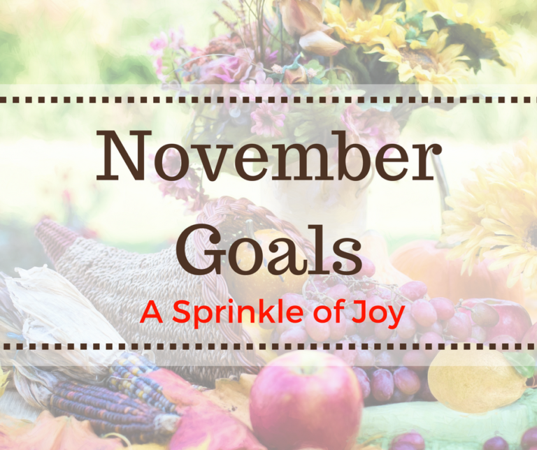 October Recap and November Goals