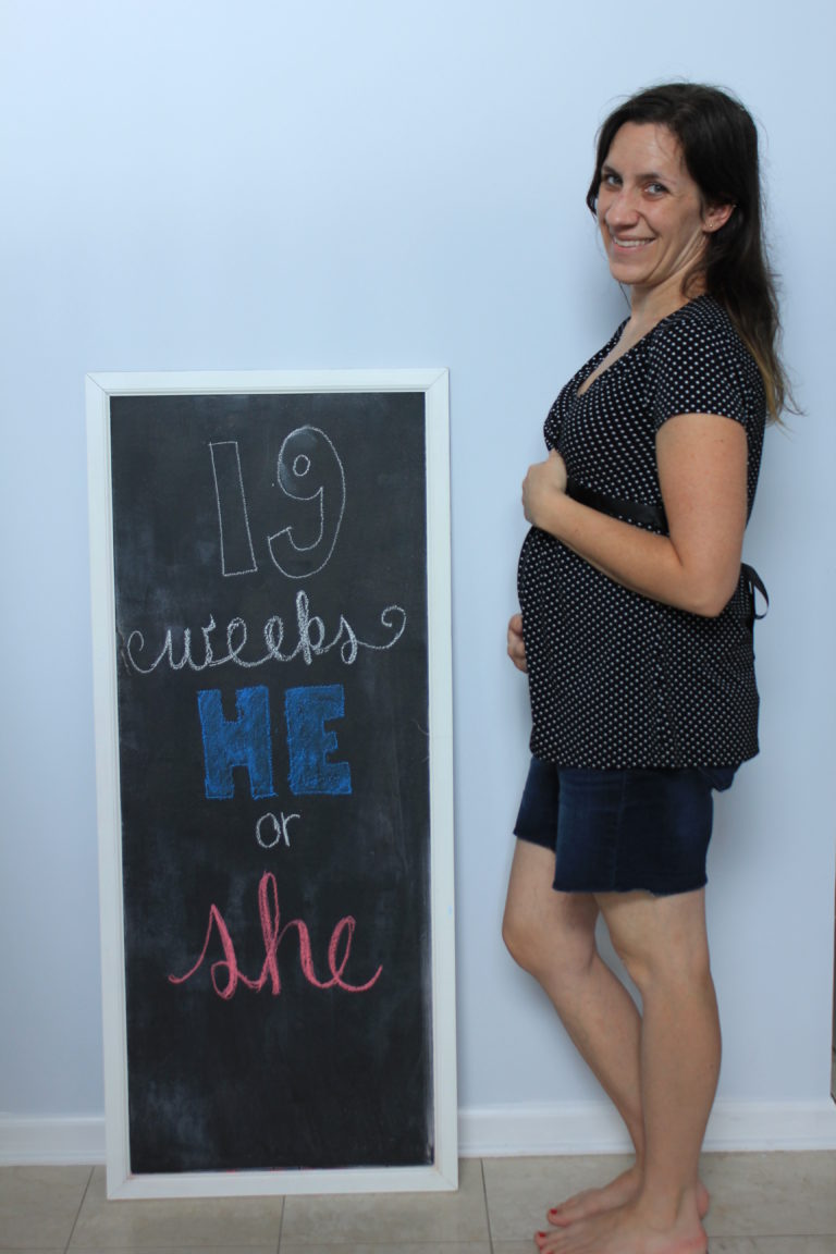 Pregnancy Update: Week 19