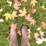 TBB Asks- October 2018