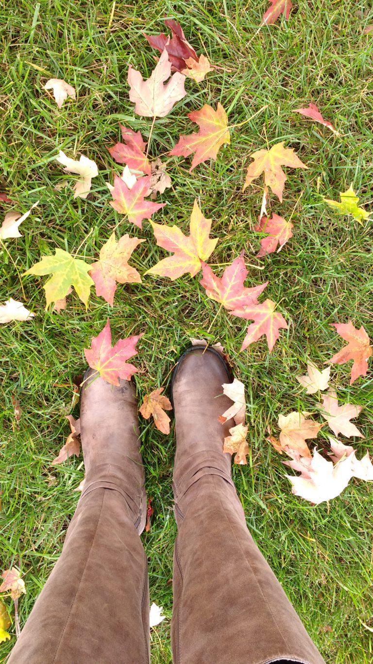 TBB Asks- October 2018