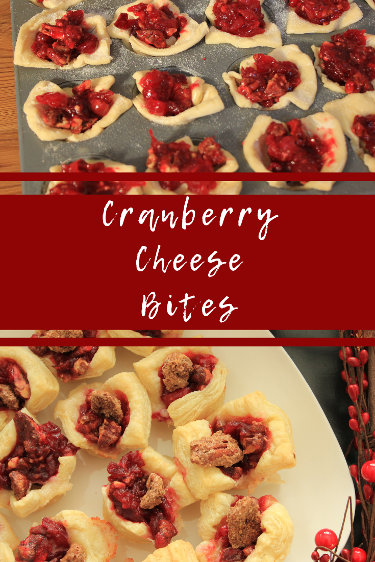 Cranberry Cheese Bites with Candied Pecans