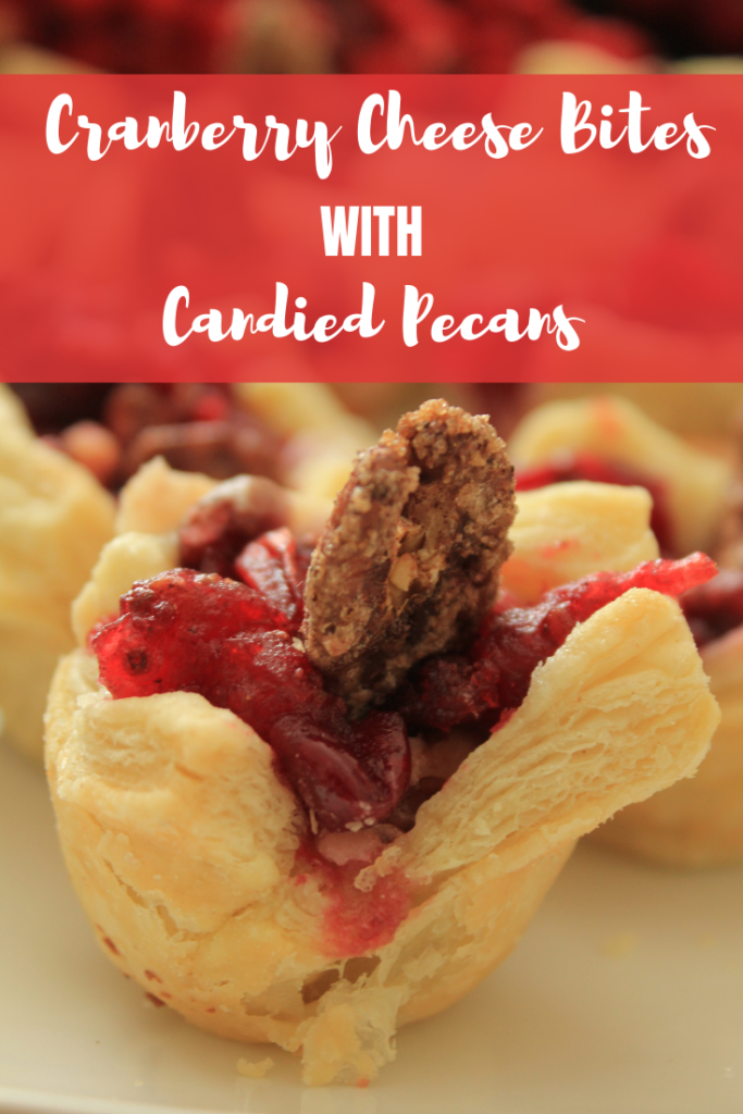 A simple and tasty appetizer recipe made using Stella Cheese. These cranberry cheese bites with candied pecans are sure to be a hit. #ad #StellaCheeses #holiday #recipe 