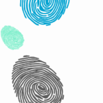 Five on Friday: Life Update