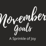 November Goals {2019}