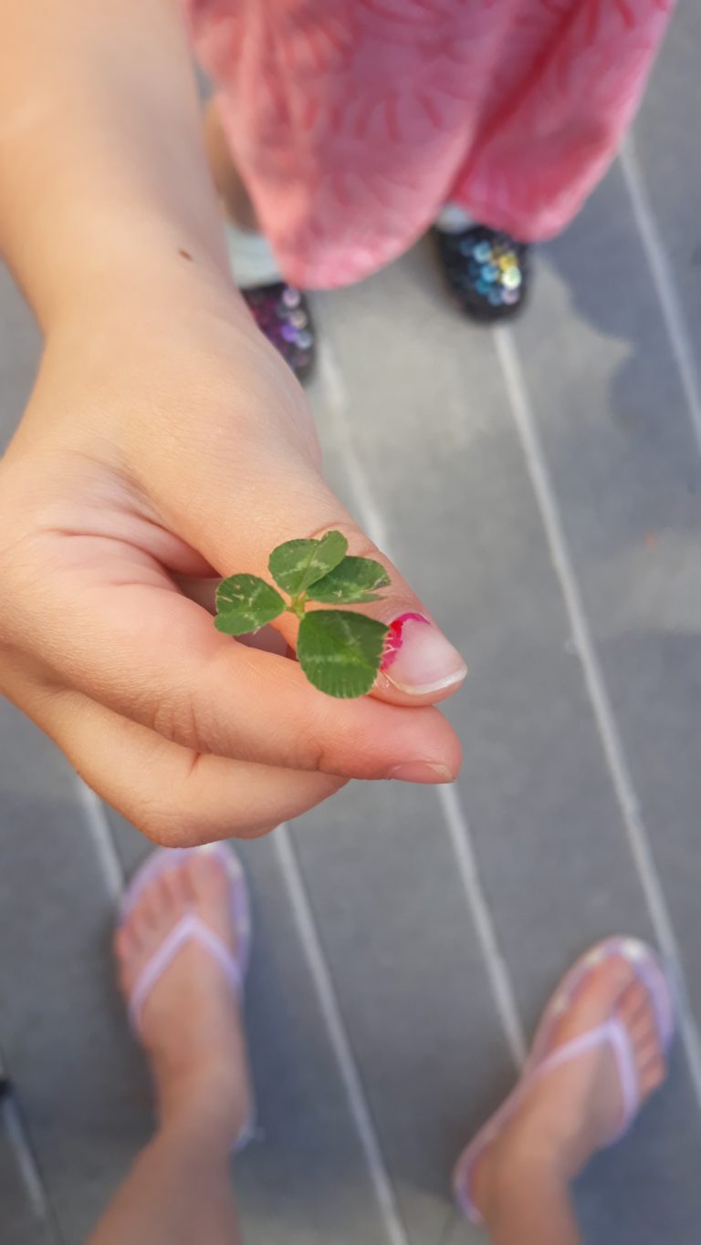 Weekend Update {5.27.20}