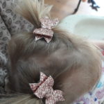 Five on Friday {7.31.2020}