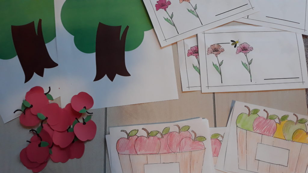 Apple Unit for Homeschool