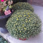 Weekend Recap {9.28.20}