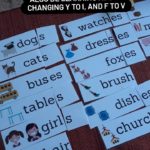 Free Plural Noun Activity