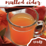 Hot Stove Top Mulled Cider