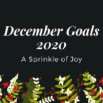November Recap and December Goals {2020}
