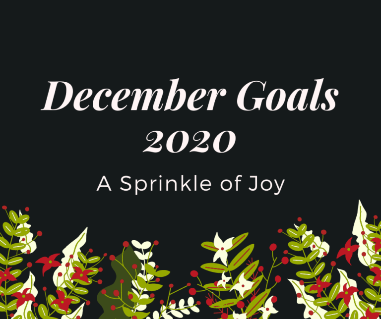 November Recap and December Goals {2020}