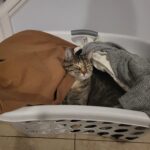 Weekend Recap {1.23.23}