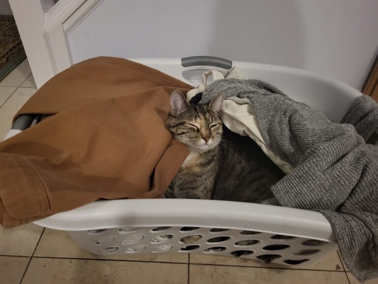 Weekend Recap {1.23.23}