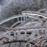 Recap Post {2.28.23}