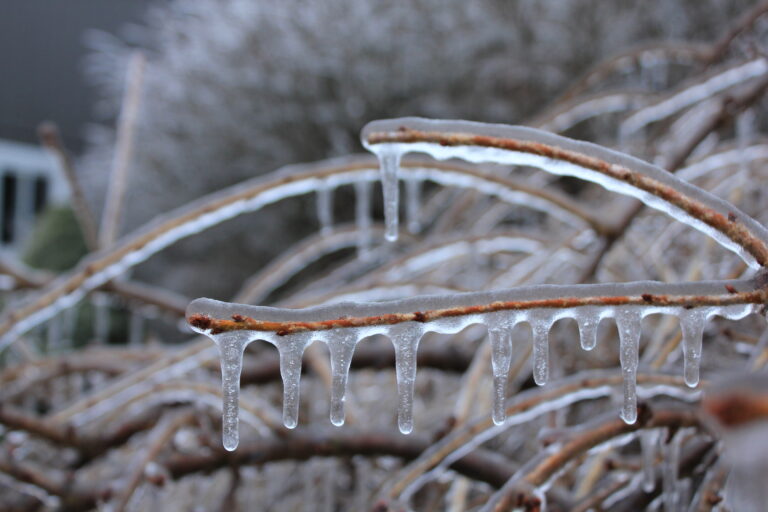 Recap Post {2.28.23}