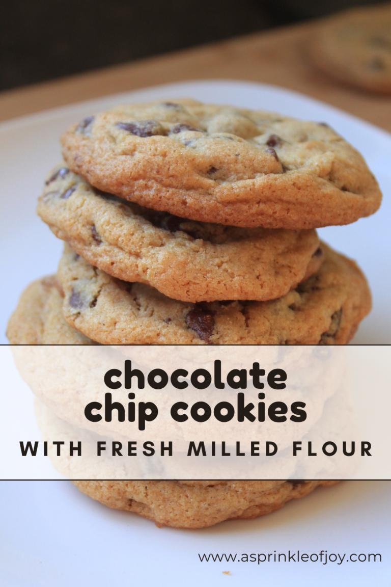 Chocolate Chip Cookies with Fresh Milled Flour