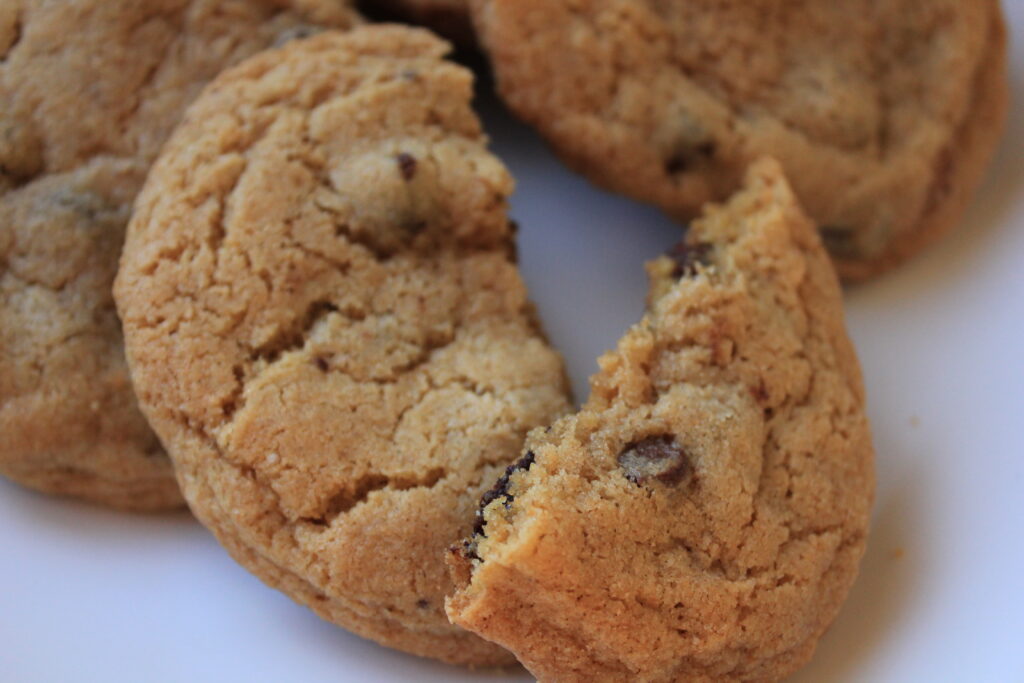 Chocolate Chip Cookies with Fresh Milled Flour