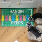 Weekend Recap {3.25.24}