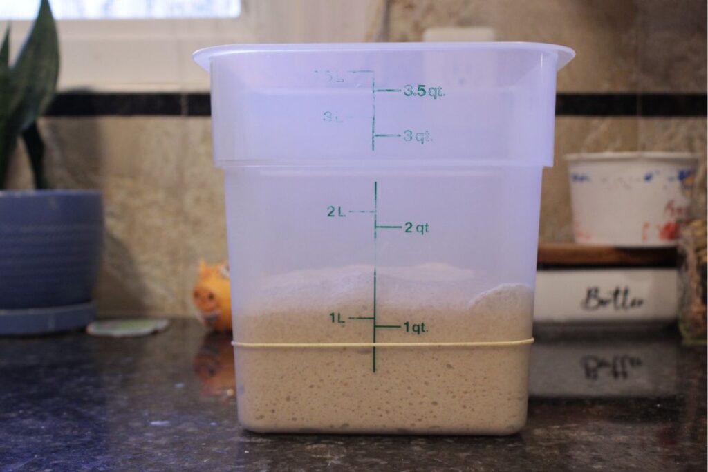 Bulk fermentation before and after comparison