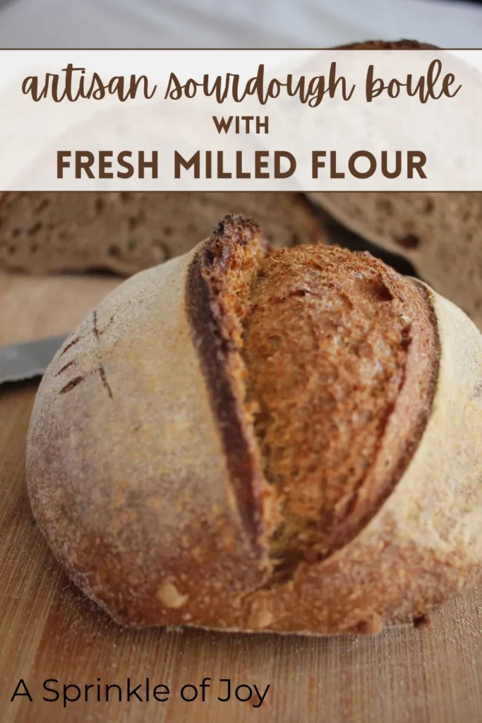 Baking sourdough with fresh milled flour can be tricky — but this 100% fresh milled sourdough recipe creates a lighter crumb and great oven spring. Learn how to adjust hydration, sift bran properly, and master bulk fermentation when baking with whole grain flour. Perfect for home bakers using hard red and hard white wheat berries.