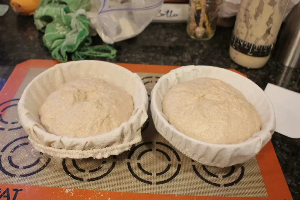 proofing fresh milled sourdough