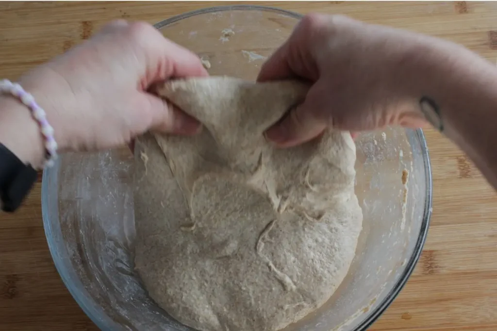 Stretch and fold technique fresh milled sourdough
