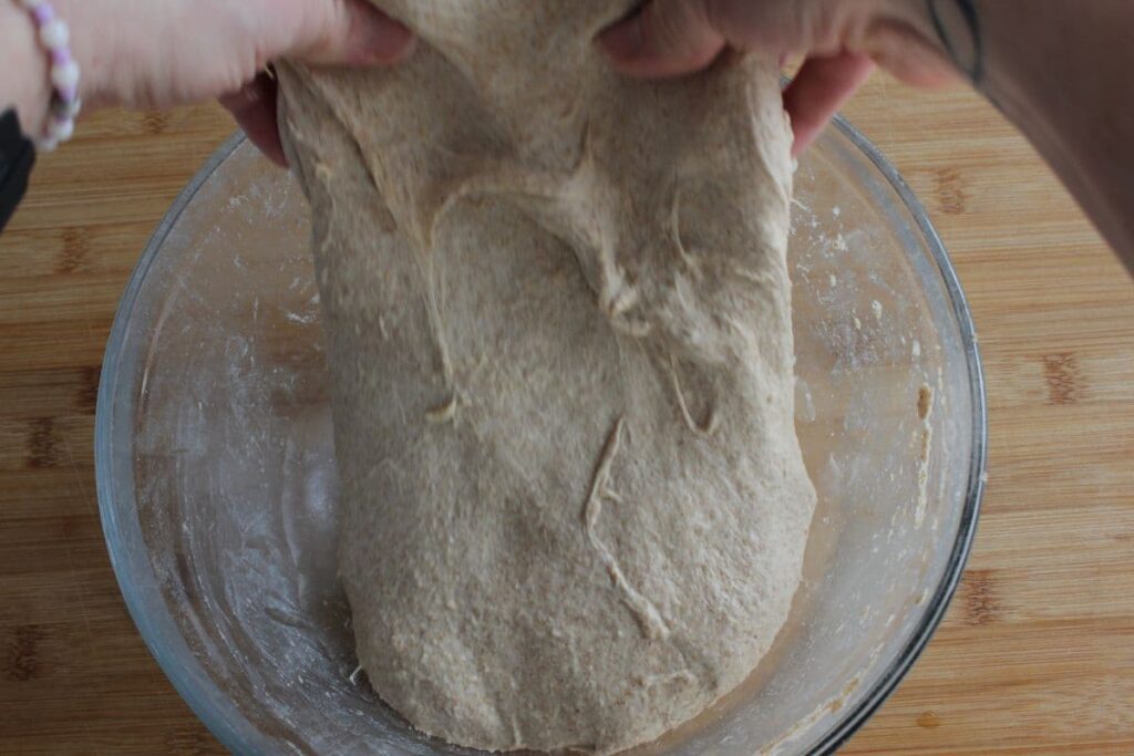 Stretch and fold technique fresh milled sourdough