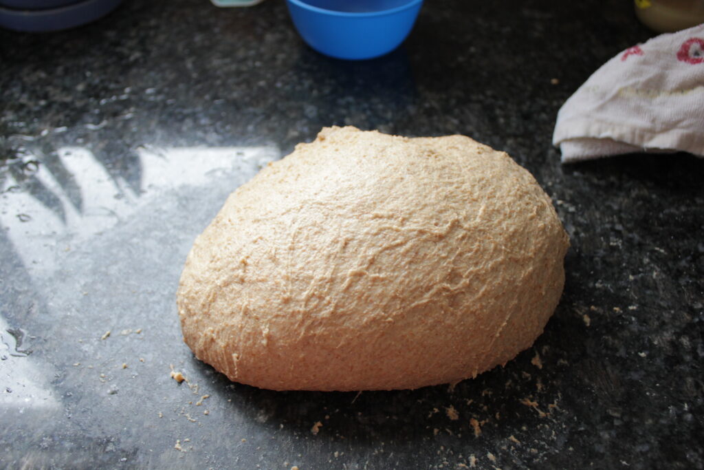 knead fresh milled sandwich bread