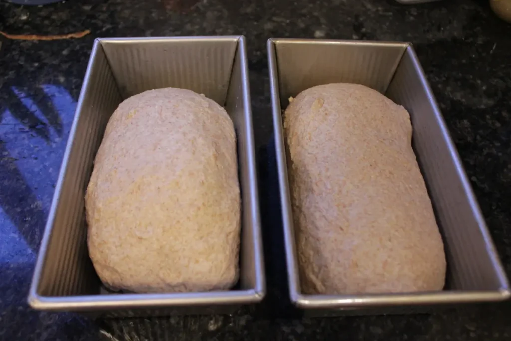 shaping sandwich bread loaf