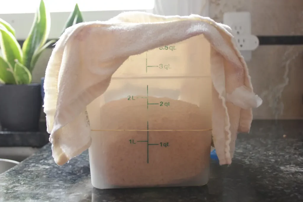 first rise fresh milled sandwich bread